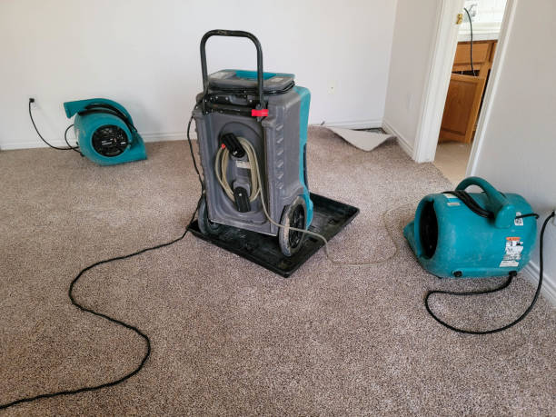 Best Fire Damage Restoration  in Goodwell, OK