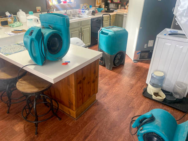 Best Water damage contractors near me  in Goodwell, OK