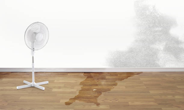 Professional Water damage restoration in OK