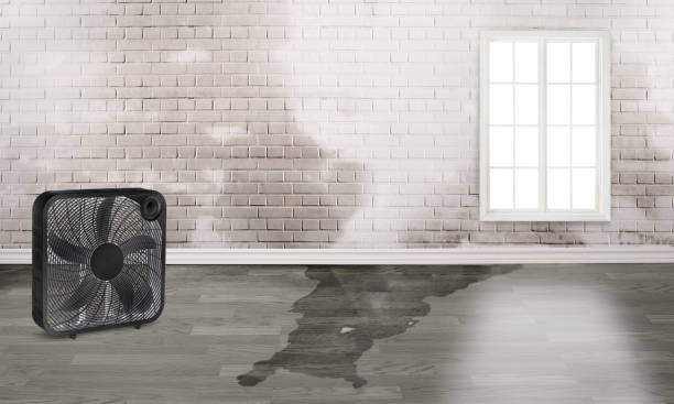 Best Water damage restoration near me  in Goodwell, OK