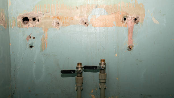 Best Flooded house restoration  in Goodwell, OK