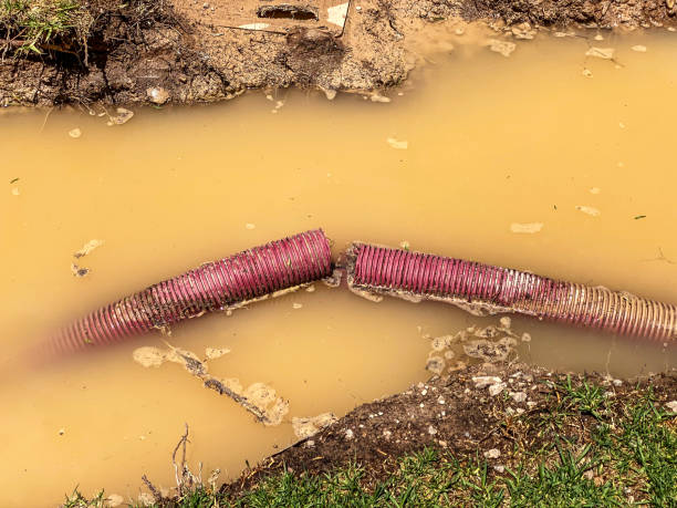 Best Water damage restoration mold remediation  in Goodwell, OK
