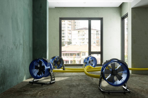 Best Professional water damage repair  in Goodwell, OK